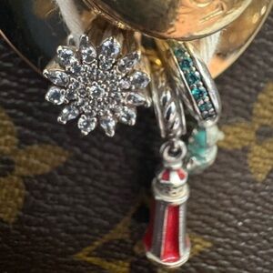 Pandora charms bundle